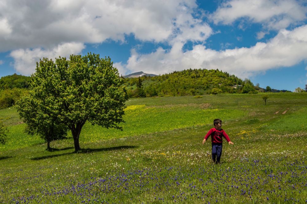 Un viaggio tra radici, linfa e suoni per educare all’ascolto e alla meraviglia